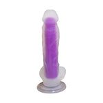 Dex - 6 Inch Colorful Jelly Realistic Suction Cup Dildo - Bestgspot