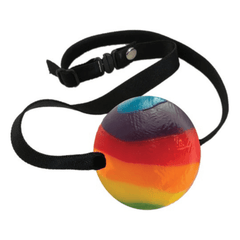 Edible Rainbow Ball Gag - Sexdoll.Sex